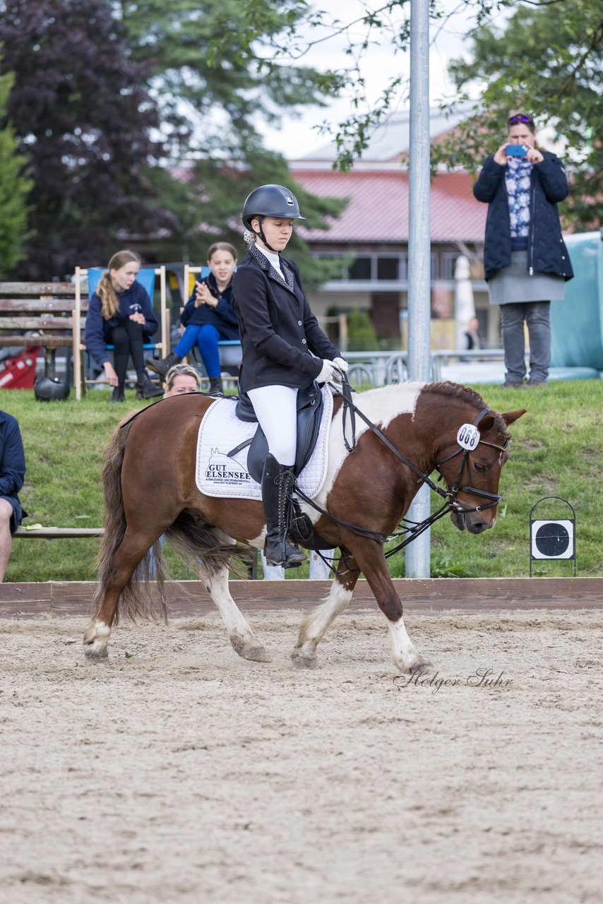 Bild 298 - Pony Akademie Turnier